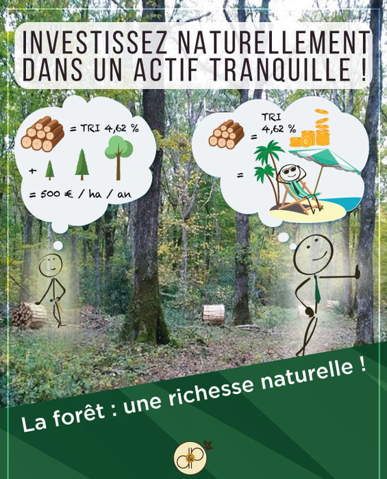 La forêt : une richesse naturelle !  - Domaines et Patrimoine